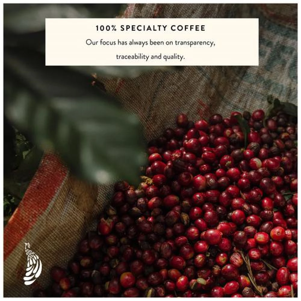 Blue Tokai Coffee Roasters - Medium-Dark Attikan Estate, 250 g Pouch-6.webp